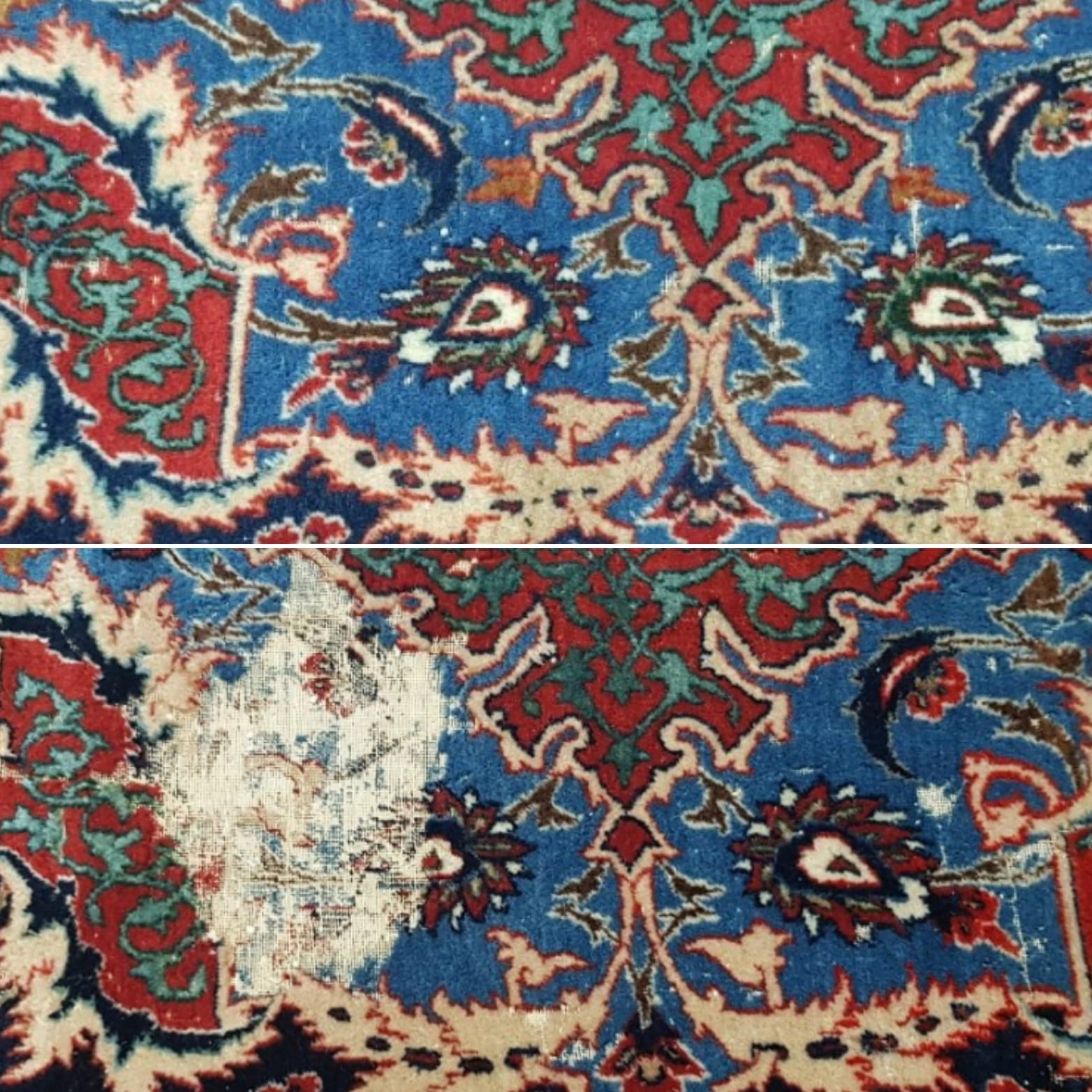 Traitement antimite naturel des tapis