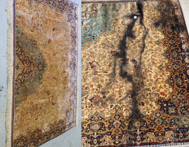 Traitement contre les mites efficace et doux